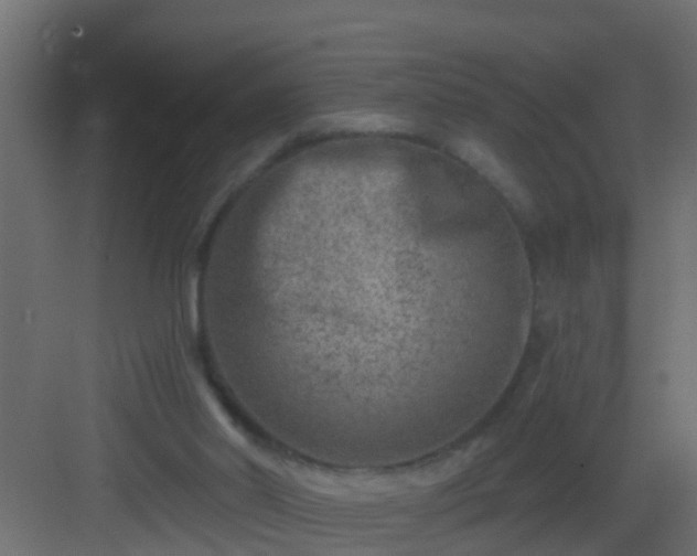 X0000082960014200702081728