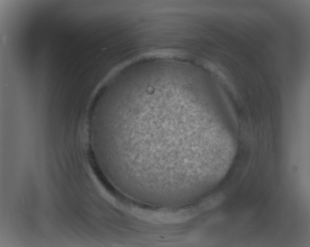 X0000082960016200702081728