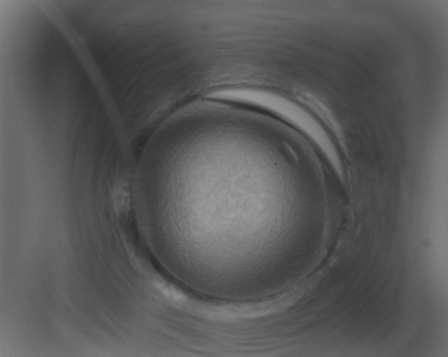 X0000082960017200702081728