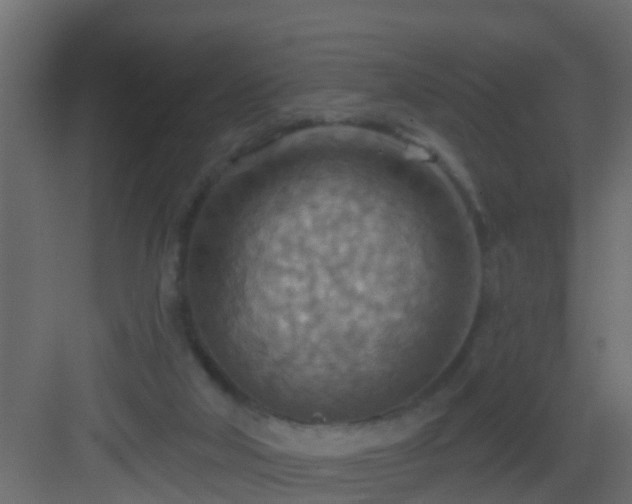 X0000082960018200702081728