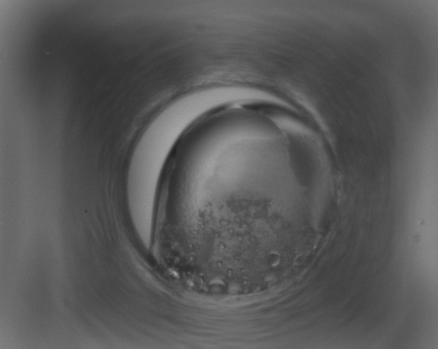 X0000082960019200702081728