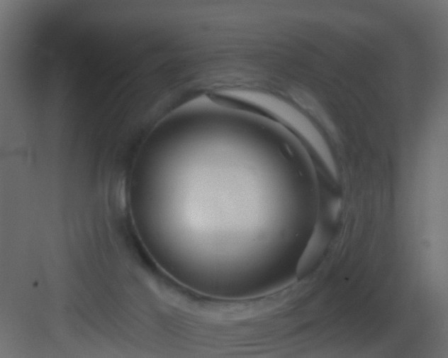 X0000082960021200702081727