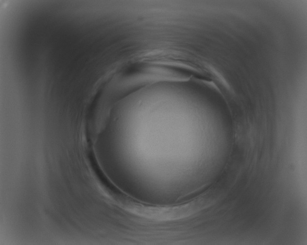 X0000082960023200702081727