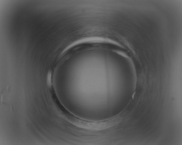 X0000082960027200702081727