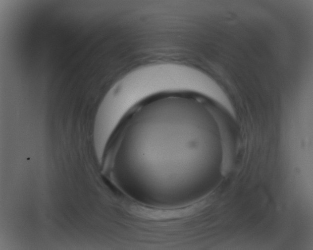 X0000082960031200702081727