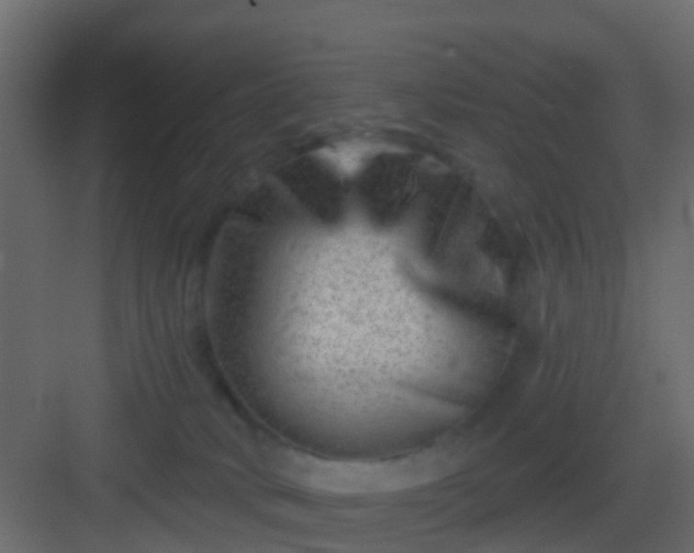 X0000082960034200702081727