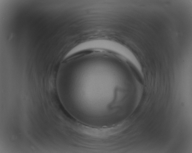 X0000082960035200702081727