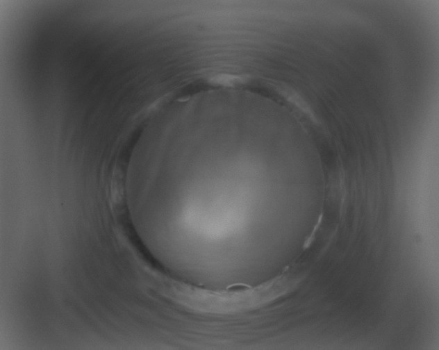 X0000082960043200702081727