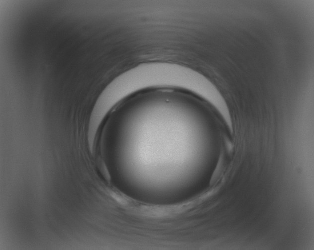 X0000082960045200702081727