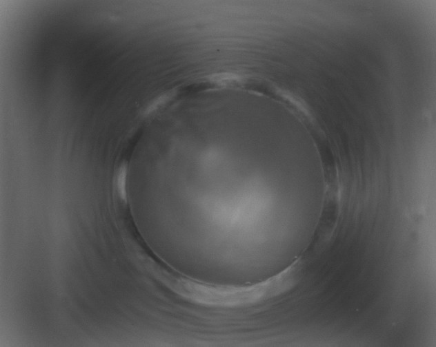 X0000082960047200702081727