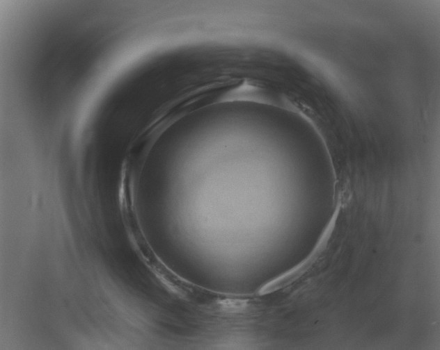 X0000082960052200702081726