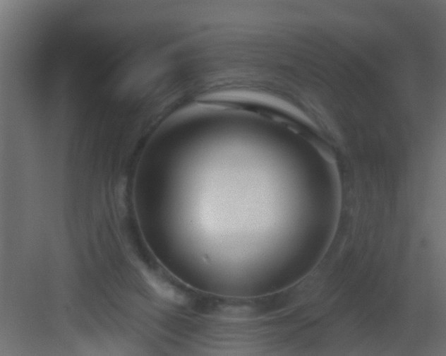 X0000082960066200702081726