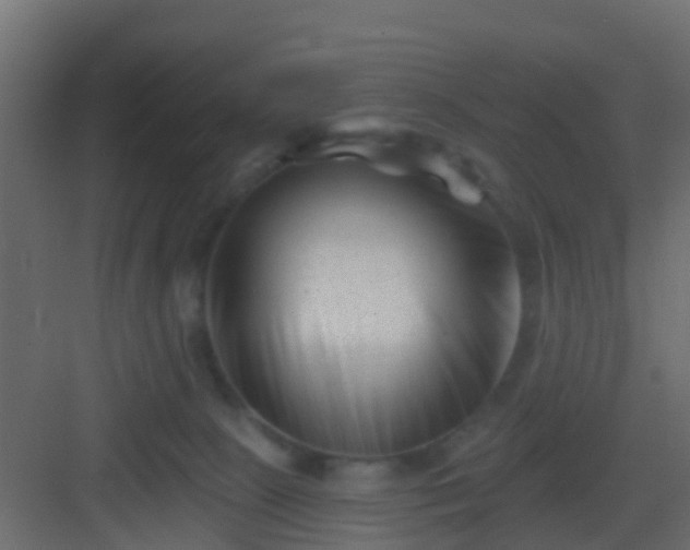 X0000082960081200702081727