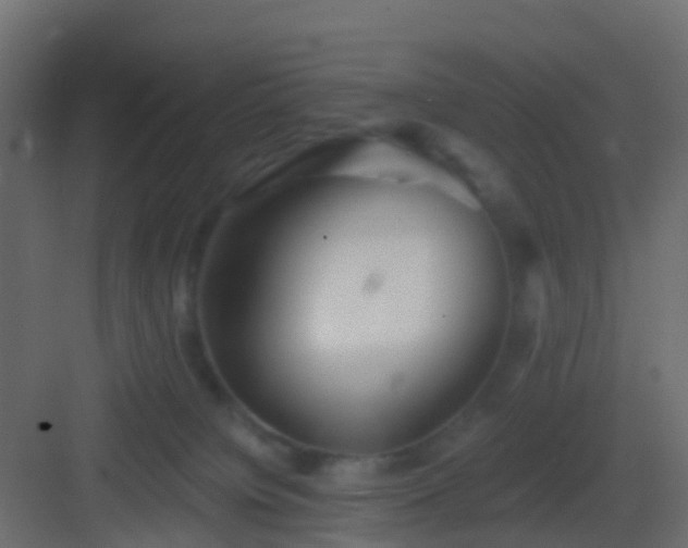 X0000082960084200702081727