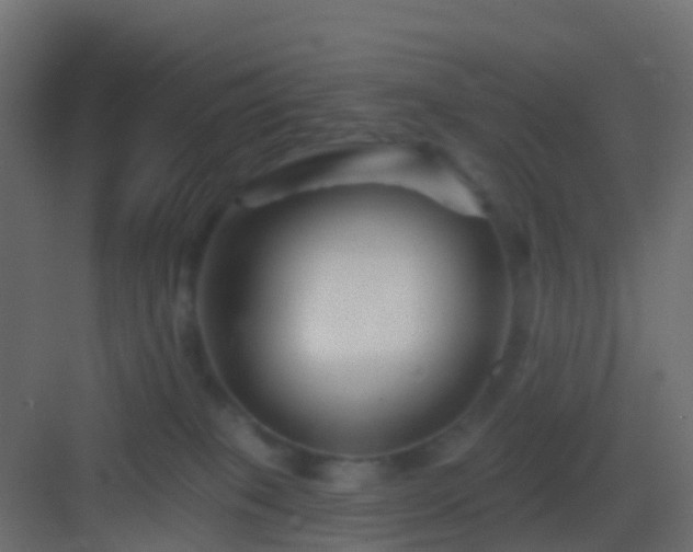 X0000082960085200702081727