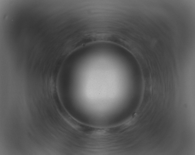 X0000082960086200702081727
