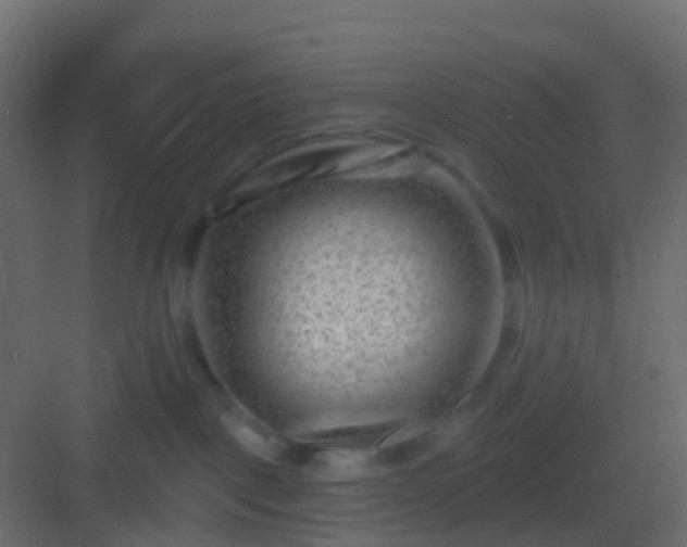 X0000082960093200702081727