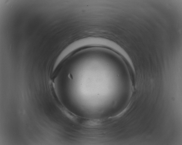 X0000082960094200702081727