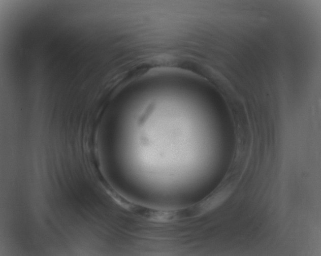 X0000082960096200702081727