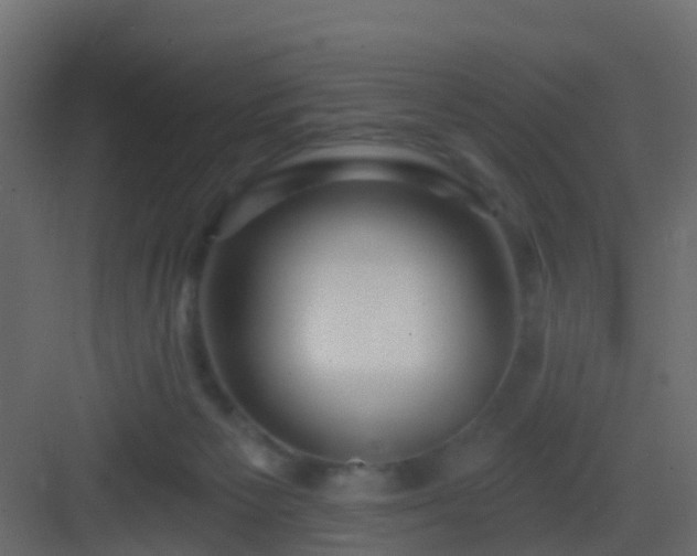 X0000082960125200702081726