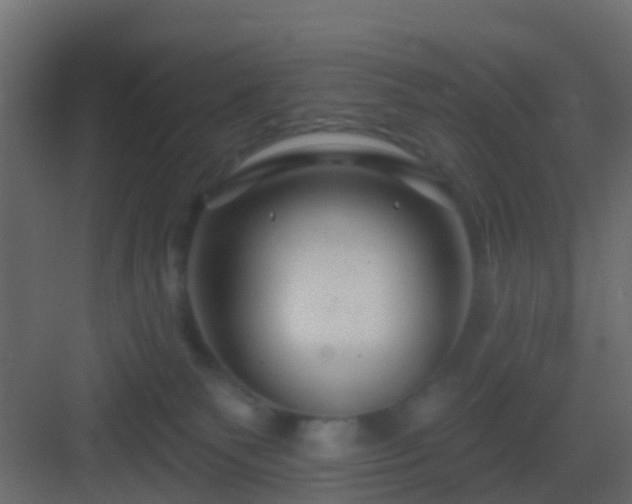 X0000082960135200702081726