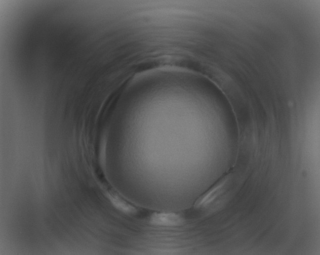 X0000082960137200702081726