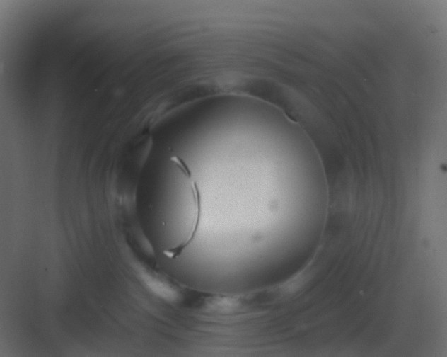X0000082960140200702081725