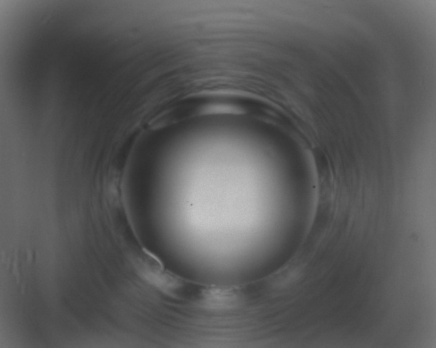 X0000082960141200702081725