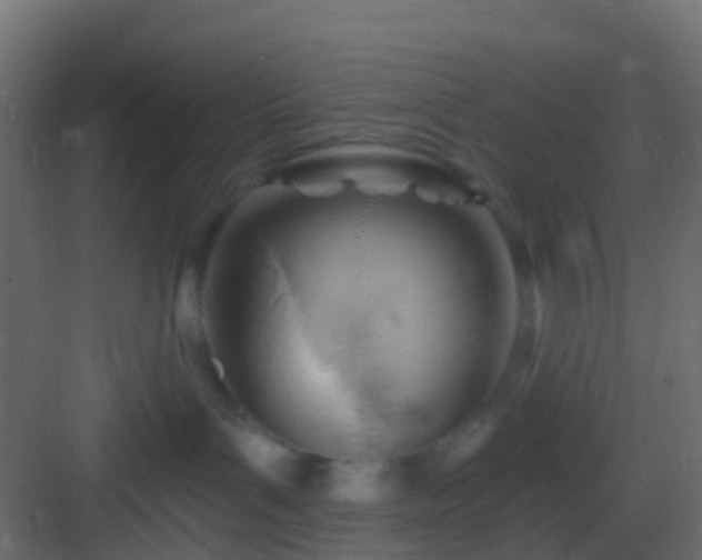 X0000082960143200702081725