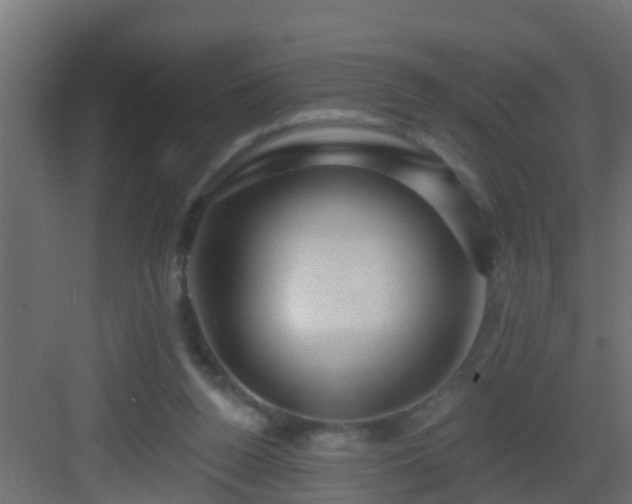 X0000082960160200702081725