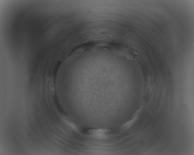X0000082960182200702081725