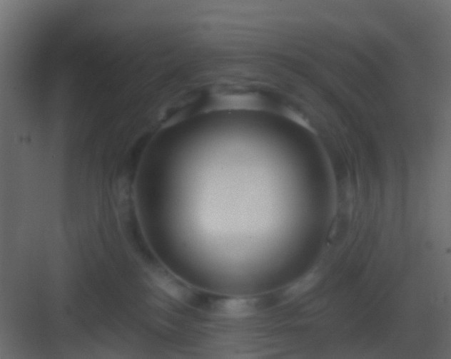 X0000082960184200702081725