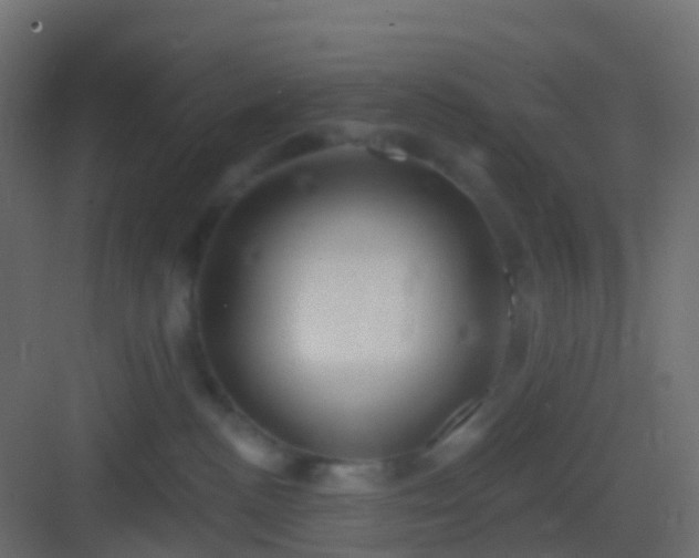 X0000082960188200702081725