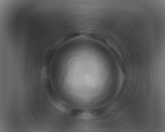 X0000082960224200702081724