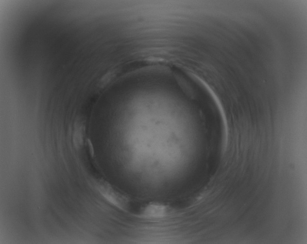 X0000082960227200702081724
