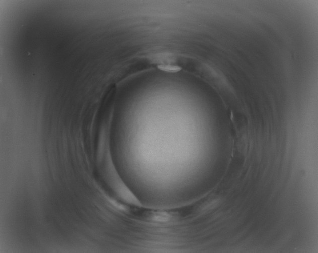 X0000082960229200702081724