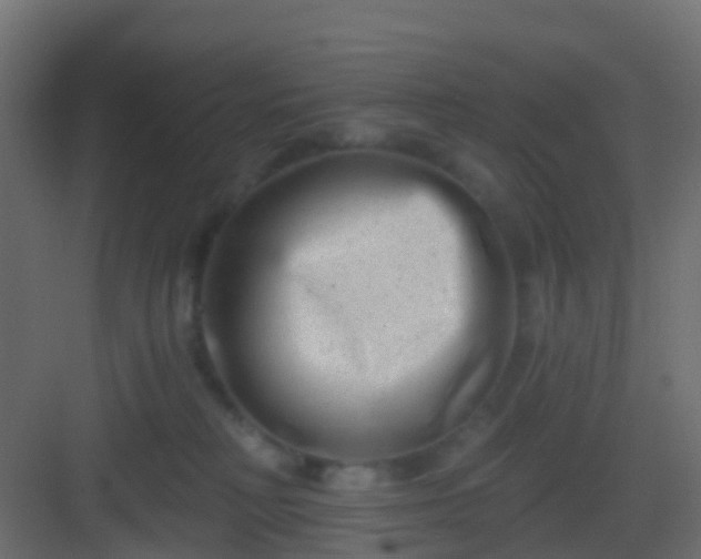 X0000082960230200702081724