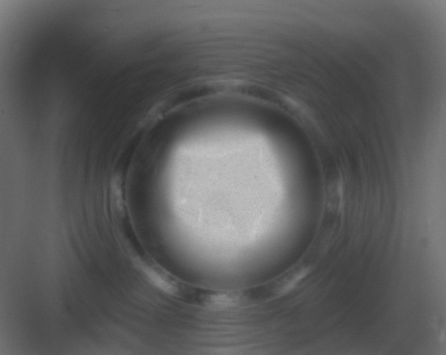 X0000082960238200702081724