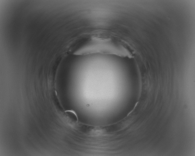 X0000082960283200702081724