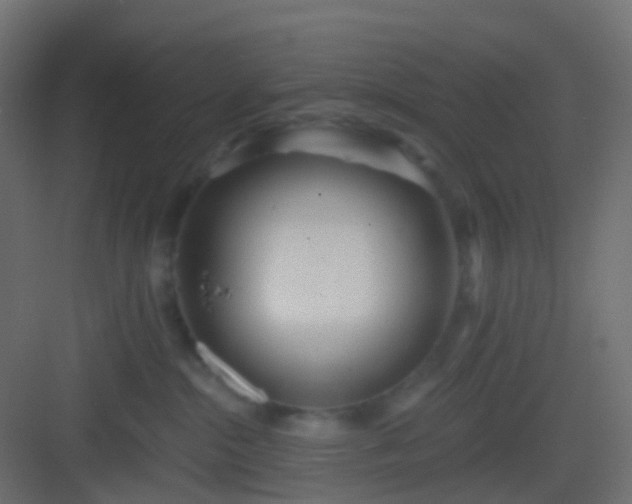 X0000082960284200702081724