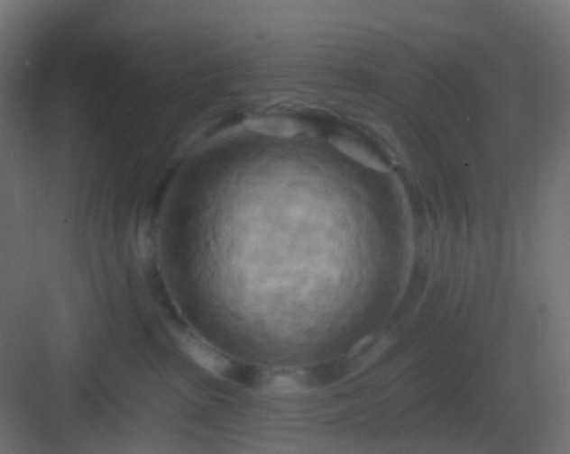 X0000082960285200702081724