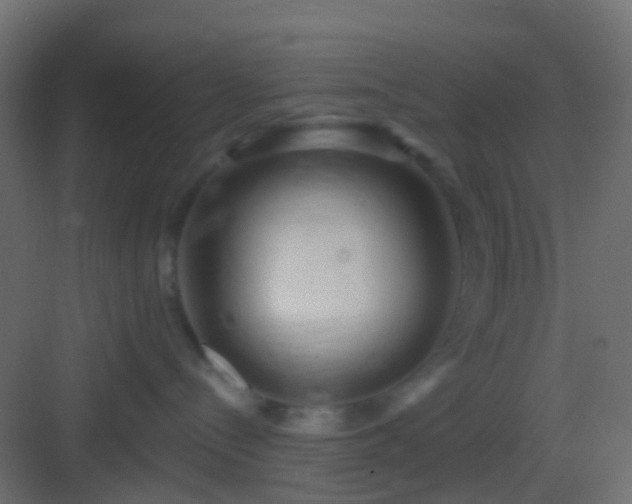 X0000082960288200702081724