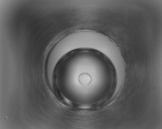 X0000082960293200702081723