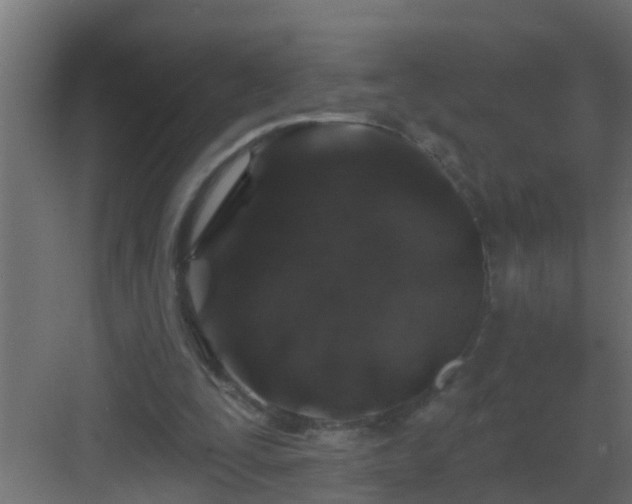 X0000082960295200702081723