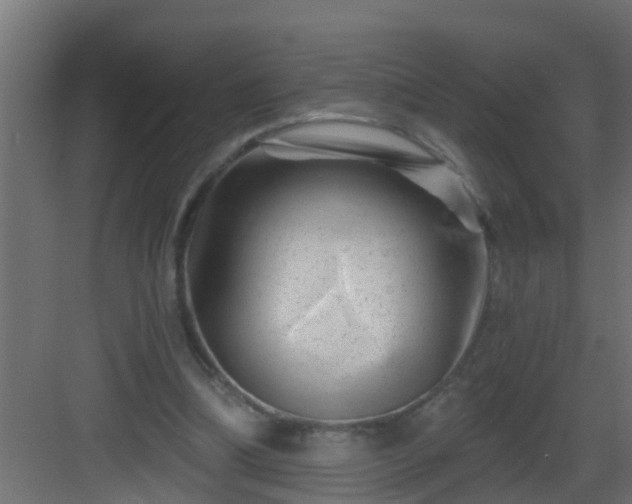 X0000082960298200702081723
