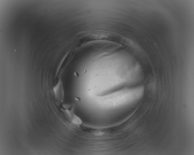 X0000082960315200702081723