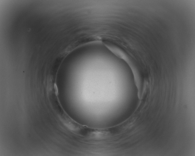 X0000082960323200702081722