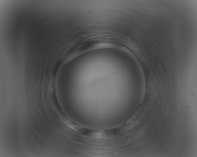 X0000082960325200702081722