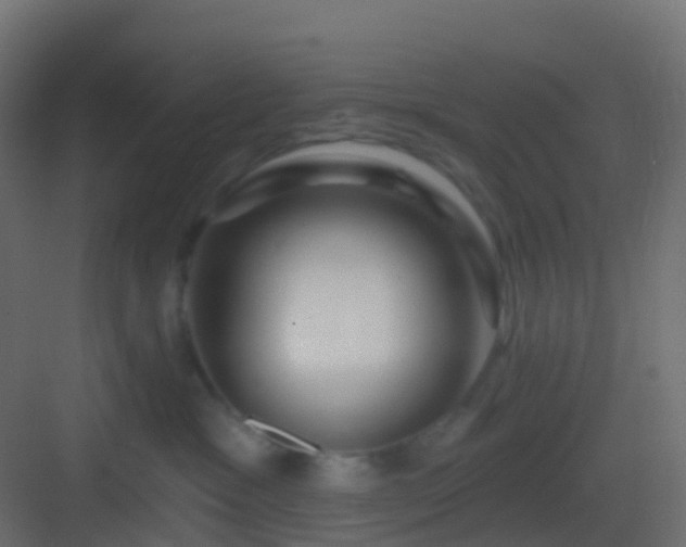 X0000082960333200702081722