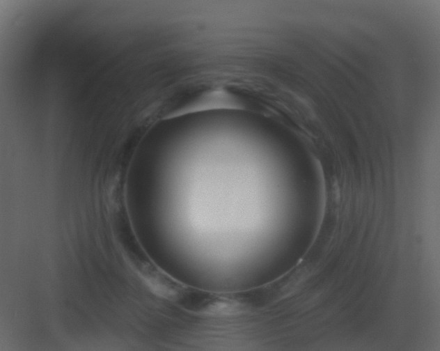 X0000082960364200702081722
